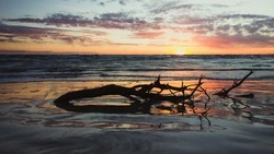 Тело пенсионерки нашли в водоеме Корсаковского района 28 июля