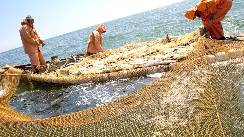 Последний этап страды