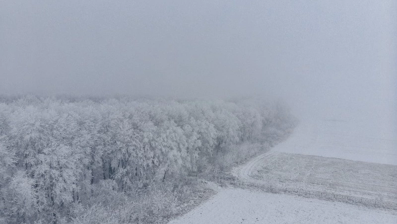 Готовьтесь к непогоде: Сахалин накроет метель 8 января
