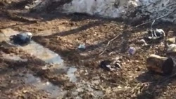 «Никто не обязан убирать за кем-то»: сахалинцы загадили популярное место отдыха