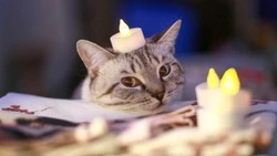 Сотни жителей Южно-Сахалинска остались без света 10 декабря