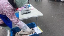 Минрыболовства: сахалинцы активно покупают свежую сельдь и мойву