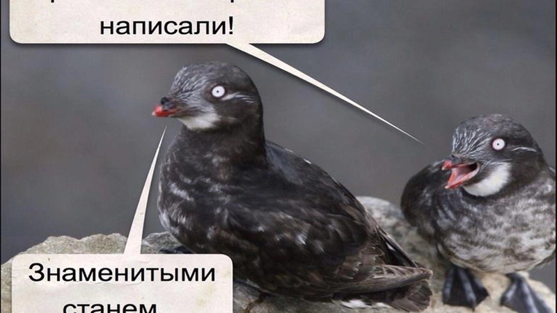 Эй ты, птичка, летим со мной!