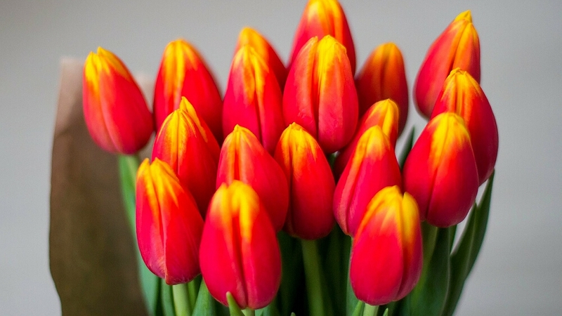 Подари мне звезду