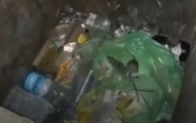 «Их там много»: жители Южно-Сахалинска стали свидетелями весеннего нашествия крыс