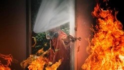 Соседи сожгли дачу жительницы Поронайска, а в суде заявили, что просто жгли траву 