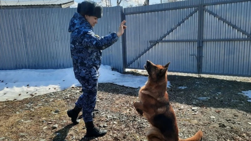 Если хозяина нет, это негативно сказывается на собаке: кинолог — о пятилетней службе в УФСИН