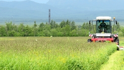 15 украинцев нашли работу в сахалинском совхозе «Заречное»