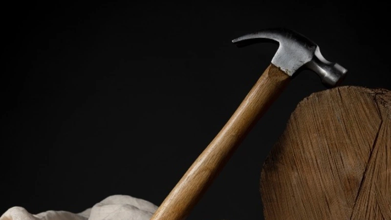 В Забайкалье 12-летний мальчик забил до смерти молотком пенсионерку