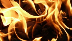 Высокую пожарную опасность объявили в двух районах Сахалина с 25 июля