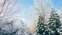 Прогноз погоды на Сахалине и Курилах 21 декабря: мороз, снег и северный ветер