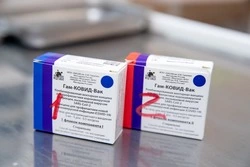 «Дело добровольное»: мэр Невельска поддержал заявление Путина о вакцинации