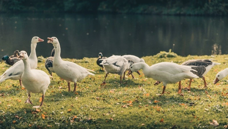 Приметы обо всем на 28 сентября 2023 года: что можно и нельзя делать в этот день