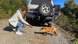 Туристы нашли на Итурупе подружек-лисичек