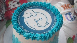 Десятки человек пришли на день рождения приюта «Пес и Кот» в Южно-Сахалинске