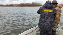 Борьба с незаконным рыболовством на Дальнем Востоке принесла результаты в 2023 году