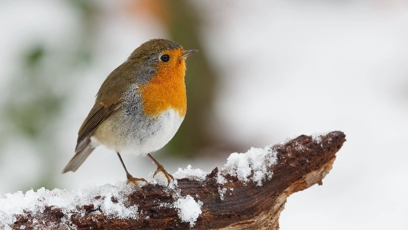 Приметы обо всем на 3 декабря 2023 года: что можно и нельзя делать в этот день