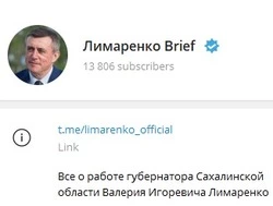 Лимаренко первым из губернаторов ДФО получил синюю галочку в Telegram