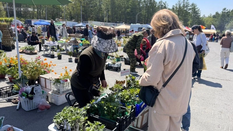 В Южно-Сахалинске прошла областная сельскохозяйственная ярмарка «Весна-2025»
