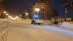 Состояние улиц Южно-Сахалинска на утро 27 января: какие расчищены