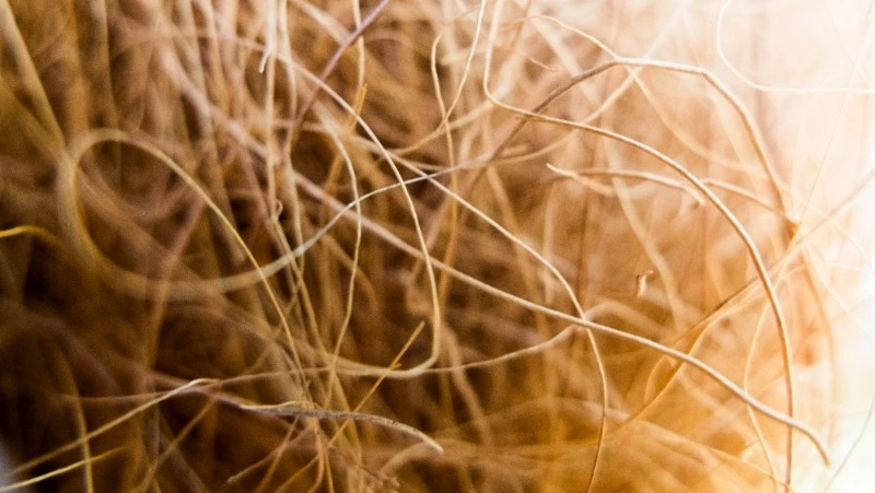 Церковный праздник 13 октября 2024: что нельзя делать в этот день, приметы