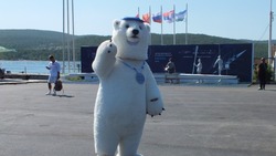 Легендой регаты во Владивостоке стала медведица Айка