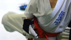 Кубок мэра Южно-Сахалинска по дзюдо состоится 16 октября 