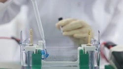 Лекарства для лечения редких заболеваний создадут в России