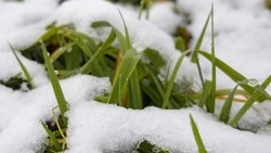 Снег и до 3 градусов тепла спрогнозировали синоптики в Сахалинской области 6 февраля 