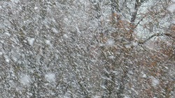 Мощный ветер с мокрым снегом идет на Сахалин — МЧС предупреждает об опасности