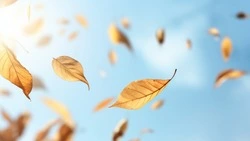 Прогноз погоды на 23 сентября: сильные порывы ветра на Курилах и солнце на Сахалине