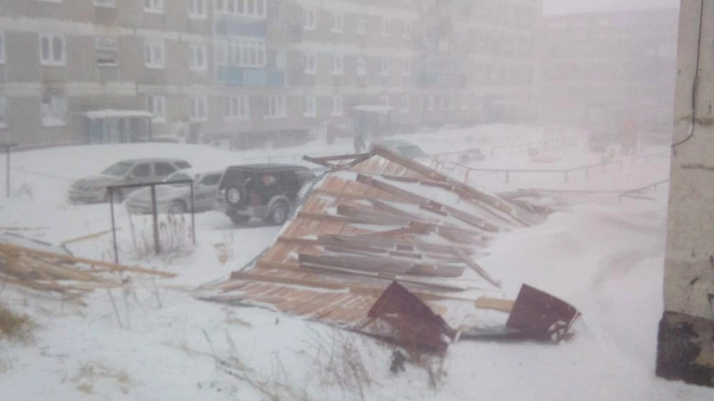 В Углегорском районе свирепствующий циклон валит столбы и елки