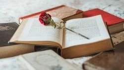 Только начитанные отвечают на 10/10 вопросов с первого раза — ТЕСТ по литературе