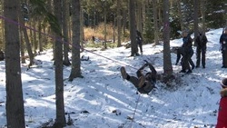 Центр содействия семейному устройству «Феникс» в селе Красногорск