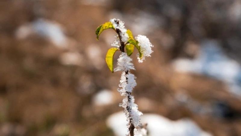 В воскресенье, 15 марта, на всей территории Сахалинской области будет ясная погода