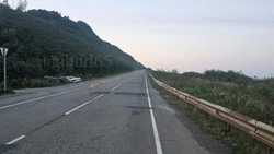 Двое водителей пострадали в ДТП в Макаровском районе 