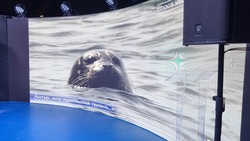День Тихого океана провел заповедник «Курильский» на выставке ВДНХ