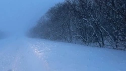 Метель и нулевая видимость парализовали движение на трассе Оха — Москальво на Сахалине
