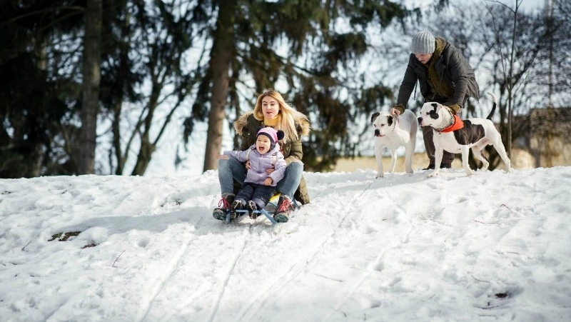 Народные приметы на 5 марта 2024: что нельзя делать в этот день