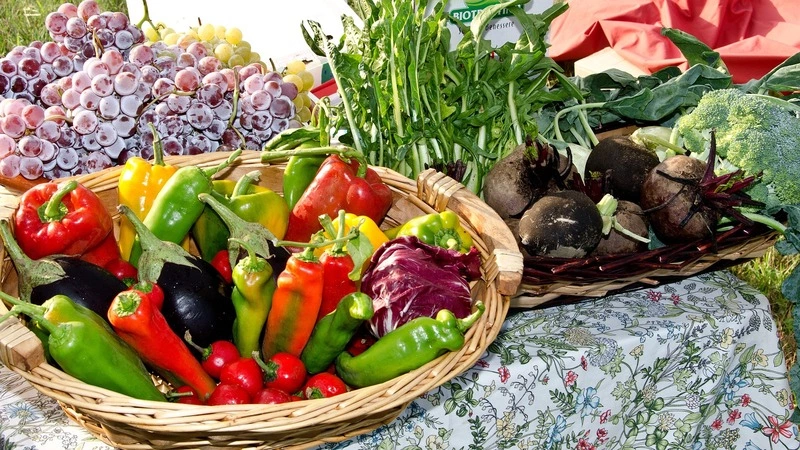 Инвесторов для ярмарки ждут на Сахалине. Патрон проекта — Путин