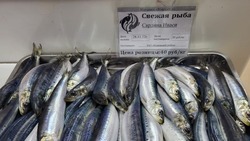 Больше 400 тонн свежей рыбы по доступной цене купили жители Сахалина в 2022 году