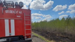 Трава на площади 600 квадратных метров вспыхнула в Ногликском районе