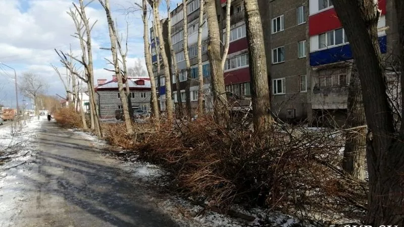 Планировочный район Южно-Сахалинска завалили обрезками веток