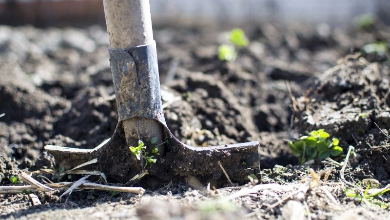 Народные приметы на 10 мая: что нельзя делать в день Семена Ранопашца