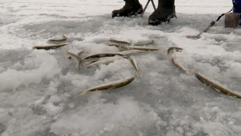 Итоги недели. Выпуск 20.12.25