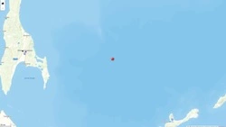 Землетрясение магнитудой 4,0 зарегистрировали на юге Сахалина