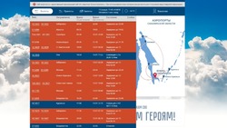Аэропорт Южно-Сахалинска перенес большинство рейсов из-за непогоды