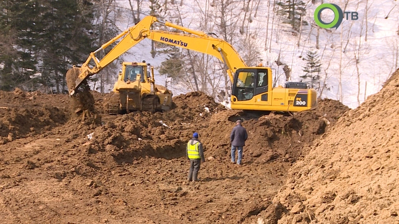 Ради комбикорма сахалинские фермеры прокладывают дорогу через лес