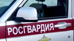 Разбил бутылку об голову: в Охе ссора между двумя посетителями кафе переросла в драку