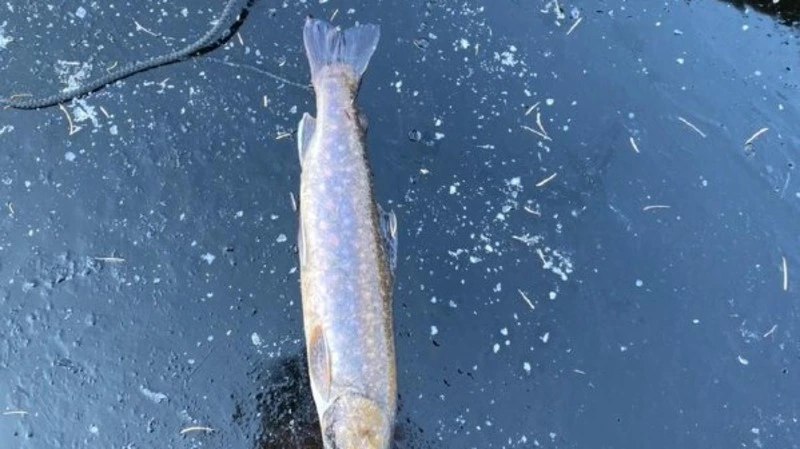Рыбаки Сахалина открыли сезон «твердой воды»
